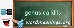 WordMeaning blackboard for genus calidris